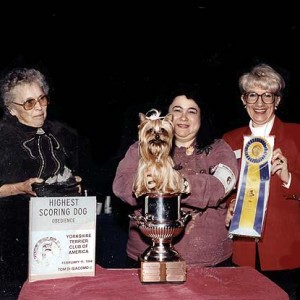 McNugget Winning High In Trial In NYC, 1992