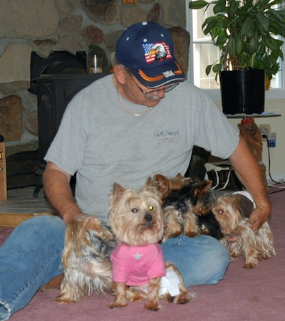 Meet The Help Toybox Yorkies